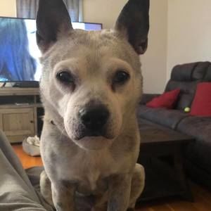 Meet your Posher, Ben